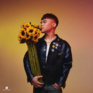 花店三女漫画原版漫画全集
